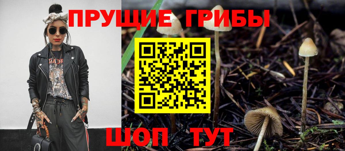 Нижний Новгород  Галлюциногенные грибы Psilocybe  Вход с VPN 